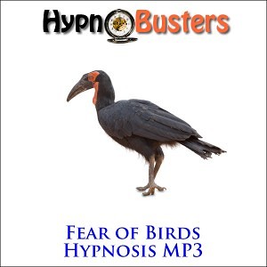 fear of birds hypnosis